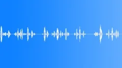 Flight attendantSound Effect