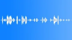 Flight attendantSound Effect