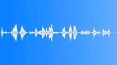 Flight attendant Sound Effect