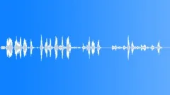 Flight attendant Sound Effect