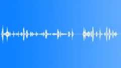 Flight attendantSound Effect