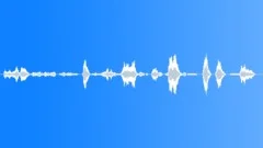 Flight attendantSound Effect