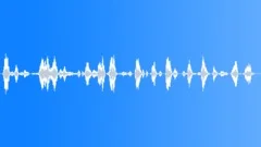 Flight attendant Sound Effect