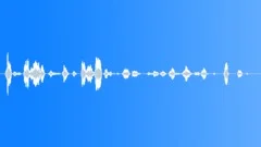 Flight attendant Sound Effect