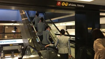 Flight attendants taking escalator up Stock Footage 85616609