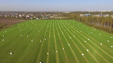 Flight back over a green field with mowed grass rolled into rolls Stock Footage 140462561