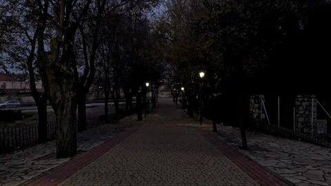 Flight backwards from a drone view of a cobblestone road surrounded by trees Stock Footage 261383527