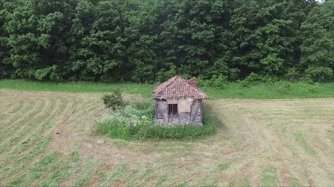 Flight backwards from the old house next to the forest Vídeo Stock 113002160