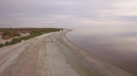 Flight on the beach with birds flying away. Stock Footage 58298853