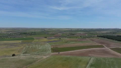Flight in beautiful crop fields 스톡 동영상 277657441