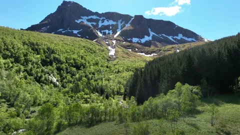 Flight from a beautiful forest in the mountains in 4k Stock Footage 222002376