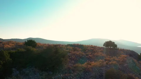Flight from behind a crest of a cliff overlooking the bay. Dokos Island, Greece. Stock Footage 131014885