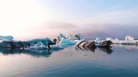 Flight between icebergs in Glacier Lagoon in South Iceland at sunset 库存影片 130853387