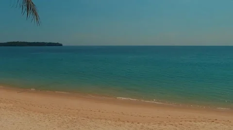 Flight between palm trees on Bang Tao beach. Phuket. Thailand Video stock 68513720