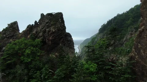 Flight between rocky cliffs along coastline at Sakhalin island Stock Footage 113325084