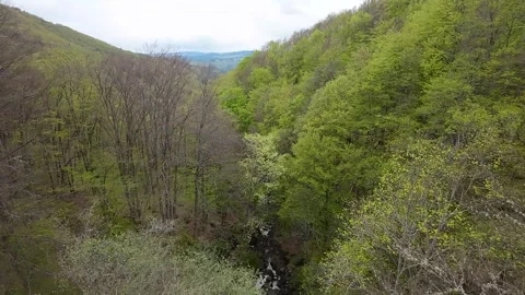 Flight between top of the trees and waterfall Stock Footage 273203048