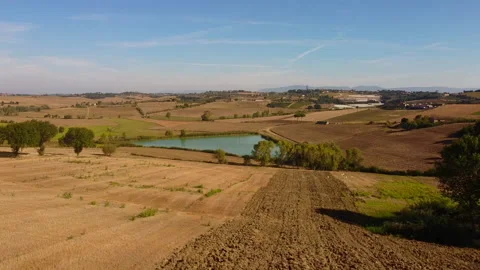 Flight of birds in the countryside between Tuscany and Umbria Stock Footage