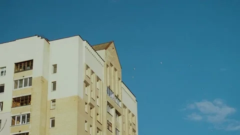 Flight of birds Video stock 221178720