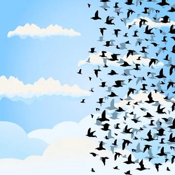 Flight of birds2 Stock Photos