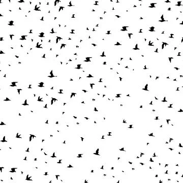 Flight of birds5 Stock Photos