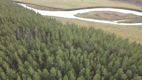 Flight on the border of a pine forest by the river Stock Footage 163091088