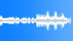 Flight Of The Bumblebee Stock Music