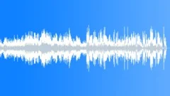 Flight Of The Bumblebee For Piano Stock Music