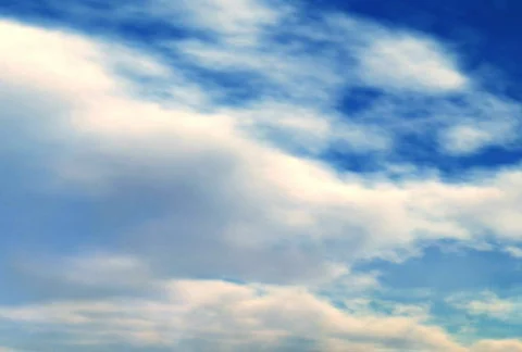 Flight of Butterflies Stock Footage 284712