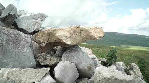 Flight of the Camera Along a Hillside of the Alpine Meadows Stock Footage 66277722