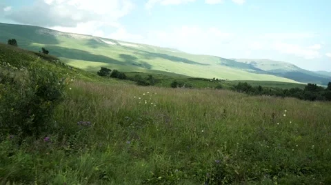 Flight of the Camera Along a Hillside of the Alpine Meadows Video stock 66277831