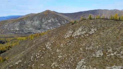 Flight of the camera from bottom to top over the mountain. autumn mountain Video stock 145610033
