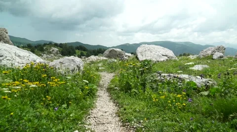 Flight of the Camera Over a Mountain Footpath in a Stones Canyon Video stock 66277620