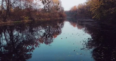 Flight of the camera over the river with a view of autumn trees and reflections Stock Footage 160260734