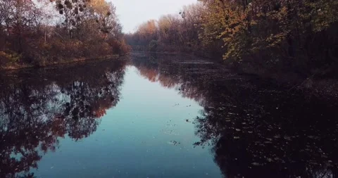 Flight of the camera over the river with a view of autumn trees and reflections Stock Footage 160894927