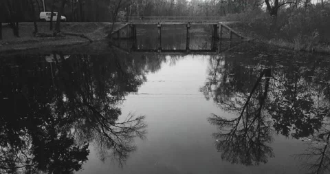 Flight of the camera over the river with a view of autumn trees and reflections Stock Footage 195100023