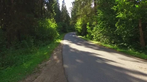 Flight of the camera through a dense green forest 動画素材 130262620