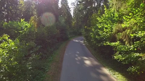 Flight of the camera through a dense green forest 動画素材 130265518