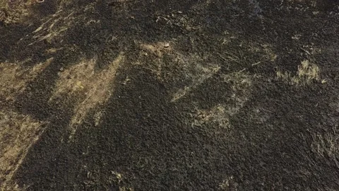 Flight of the camera through a scorched, charred field. View from above Stock Footage 130725536