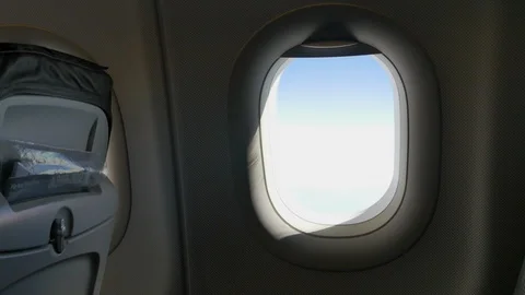 Flight Canceled Rubber Stamp Animated Graphic, Travel Ban Information Airline Vidéo 127117599