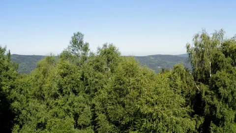 Flight from a canopy over a vast mountain terrain Video stock 137278648