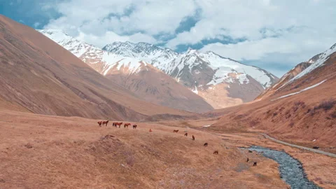 Flight In The Caucasus Mountains Video stock 97590755