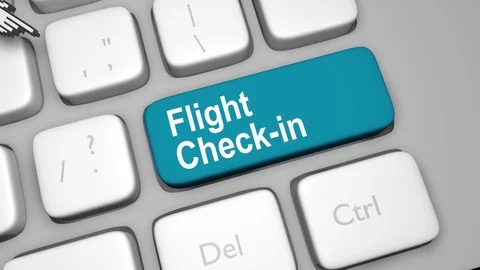 Flight check in online Stock Footage 78023435
