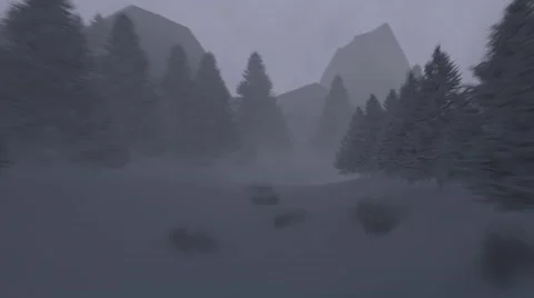 Flight to the christmas tree Stock Footage 57239964