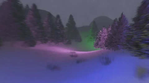 Flight to the christmas tree Stock Footage 57257785