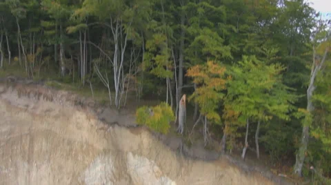 Flight From Cliff To The Top Of A Forest Stock Footage 36873040