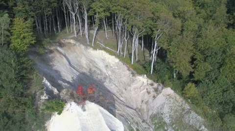 Flight At Coast Headed To Cliff And Forest Video stock 36835736