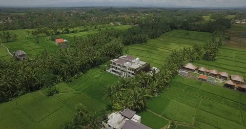 Flight on the Copter above the rice fields, Bali Stock Footage 72119560