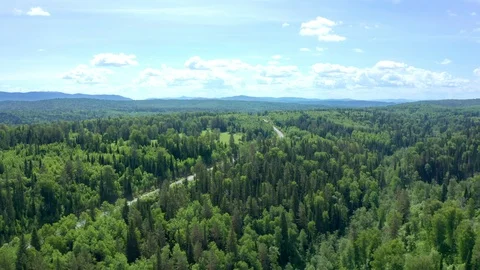 Flight of a copter over a dense forest and road. Stock Footage 116665406