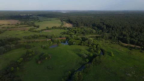 The flight of the copter over the forest area at Vídeo Stock 158317348