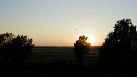 Flight by a couple of trees on a large field with sunset in the background 库存影片 137854152